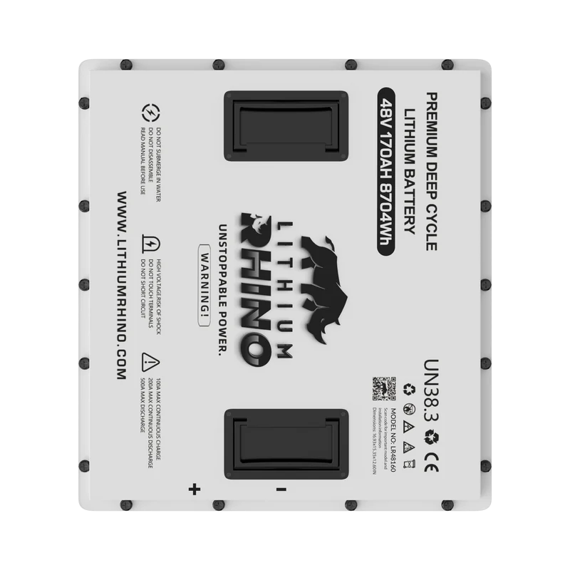 48v 170AH Lithium Rhino 300a BMS Conversion Kit