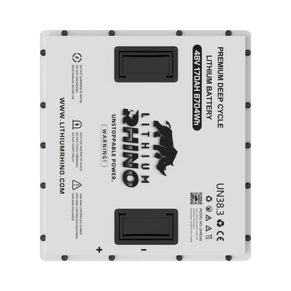 48v 170AH Lithium Rhino 300a BMS Conversion Kit