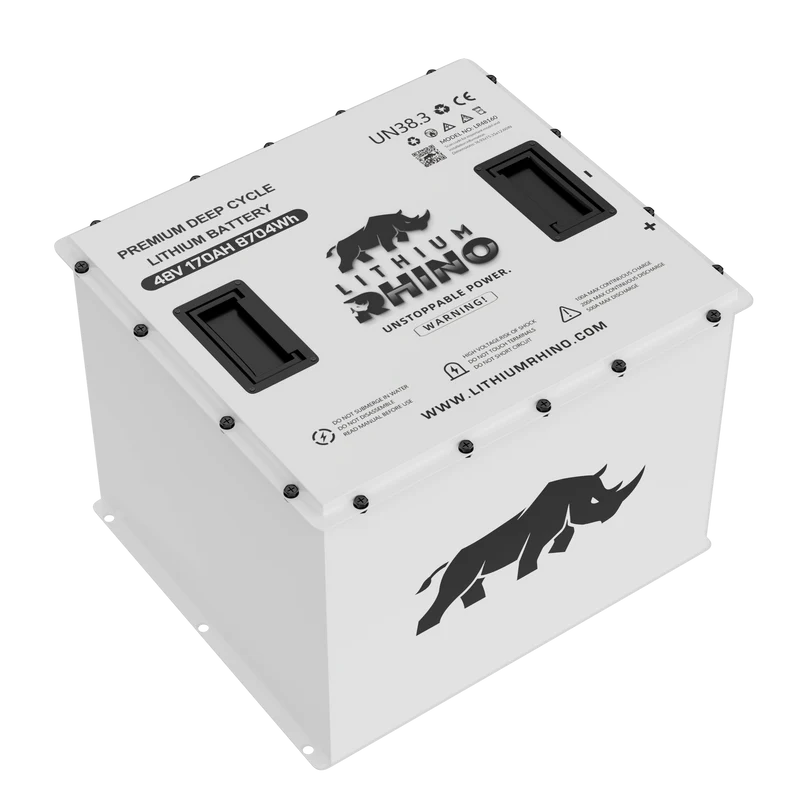 48v 170AH Lithium Rhino 300a BMS Conversion Kit