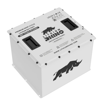 48v 170AH Lithium Rhino 300a BMS Conversion Kit
