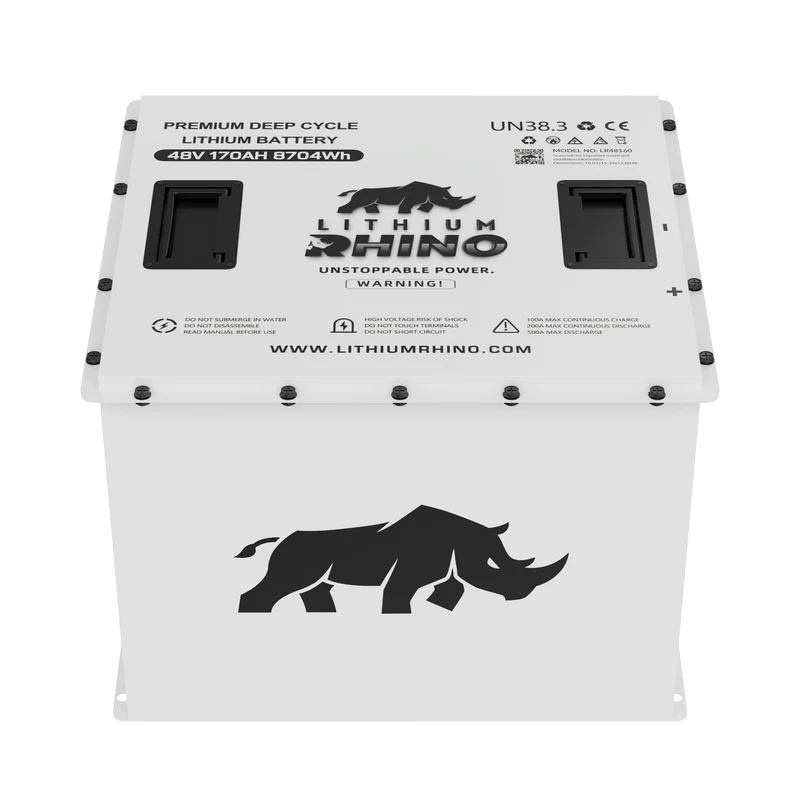 48v 170AH Lithium Rhino 300a BMS Conversion Kit