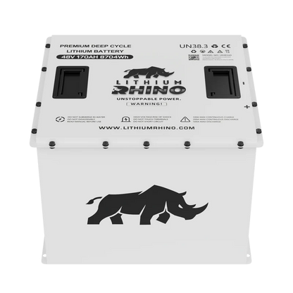 48v 170AH Lithium Rhino 300a BMS Conversion Kit