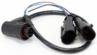 GCP:A-4113|A-4113 component