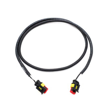 CAN Adapter / Plug to Plug / 36in