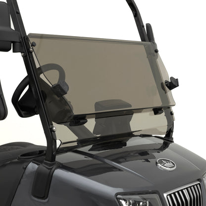 Allshields Evolution D5 Windshield