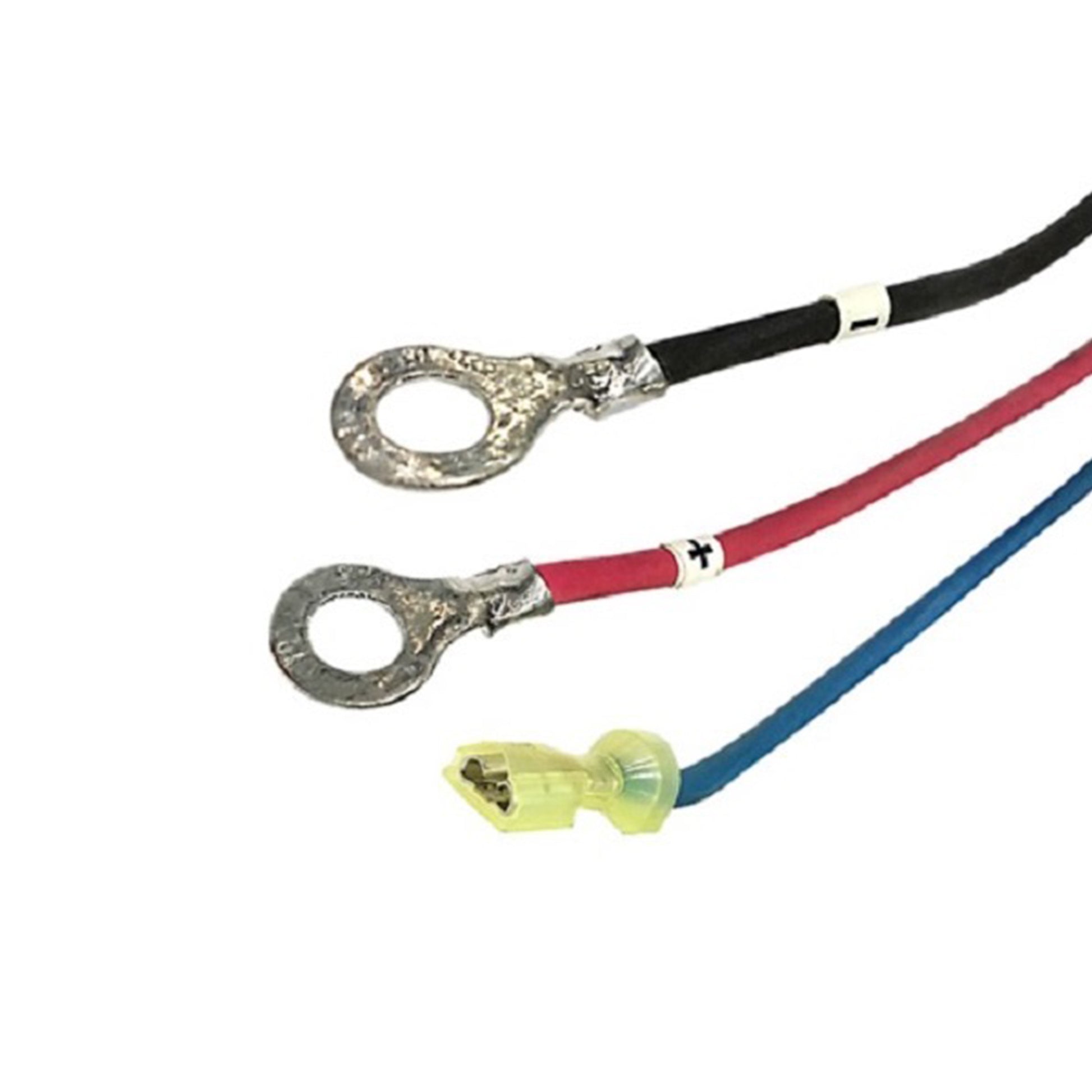 Lester DC Cord with Ring Terminals for TT-650W Battery Chargers